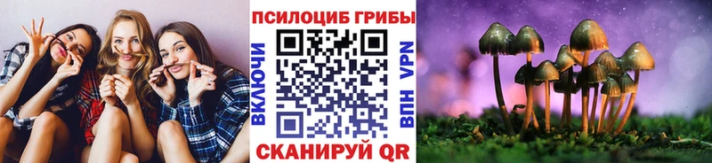 наркошоп  Краснознаменск  Галлюциногенные грибы Cubensis 