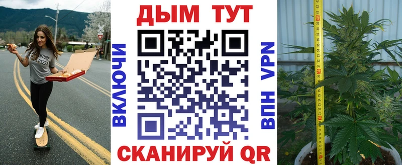 Каннабис план купить наркоту Краснознаменск